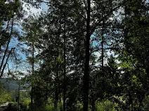 Prodej pozemku pro bydlení, Kamýk nad Vltavou, 905 m2