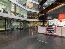 Pronájem kanceláře, Praha - Libeň, Voctářova, 690 m2