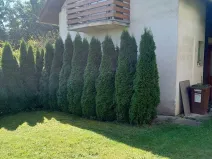 Prodej chaty, Louňovice, Na Dolách, 70 m2