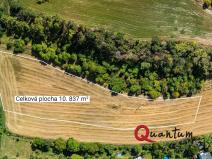 Prodej pozemku pro bydlení, Brandýsek, Nad Kovárnou, 16339 m2