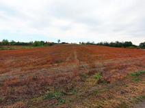 Prodej pozemku pro bydlení, Zruč nad Sázavou, 6436 m2