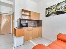 Pronájem bytu 1+kk, Orlová, Těšínská, 22 m2