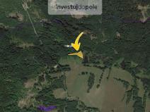 Prodej louky, Přimda - Málkov, 1766 m2
