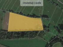 Prodej louky, Starý Plzenec, 5603 m2