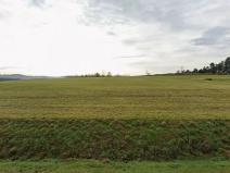 Prodej podílu pozemku pro bydlení, Malý Bor, 6505 m2