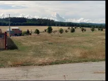 Dražba pole, Myslejovice, 7640 m2