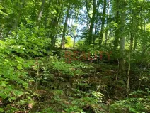 Prodej lesa, Třinec, 102140 m2