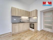 Pronájem bytu 1+kk, Plzeň - Jižní Předměstí, Americká, 59 m2