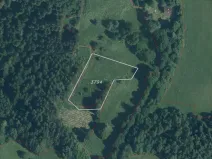 Dražba louky, Malá Bystřice, 3433 m2