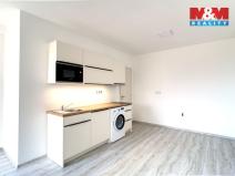 Pronájem bytu 1+kk, Praha, Pleštilova, 22 m2