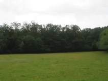 Dražba lesa, Hrabišín, 23811 m2