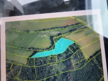 Dražba lesa, Hrabišín, 23811 m2