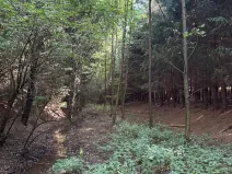 Prodej pozemku, Trutnov, 26242 m2