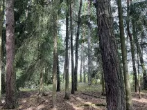 Prodej podílu pozemku, Velký Ratmírov, 3510 m2