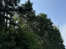 Prodej podílu pozemku, Hradiště, 3093 m2