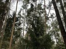 Prodej pozemku, Hradiště, 9237 m2