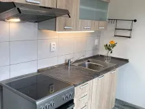 Pronájem bytu 2+1, Chomutov, Cihlářská, 52 m2