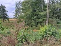 Prodej zahrady, Borek, 3737 m2