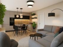 Prodej bytu 2+kk, Plzeň - Východní Předměstí, Francouzská třída, 57 m2