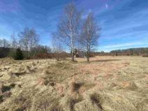 Prodej pozemku, Aš - Nový Žďár, 3300 m2