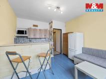 Prodej bytu 1+1, Ústí nad Labem - Severní Terasa, Šípková, 33 m2