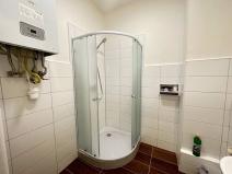 Pronájem bytu 1+kk, Praha - Nusle, Na bitevní pláni, 30 m2