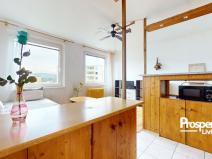 Prodej bytu 2+kk, Ústí nad Labem - Krásné Březno, Žežická, 48 m2