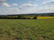 Prodej louky, Brno, 8170 m2