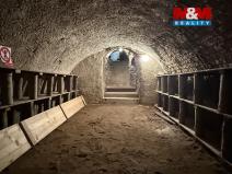 Pronájem komerční nemovitosti, Chrudim - Chrudim I, Resselovo náměstí, 50 m2