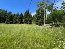 Prodej louky, Jablonec nad Jizerou, 12774 m2