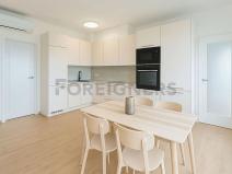 Pronájem bytu 3+kk, Brno, Spolková, 82 m2