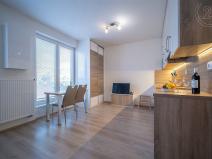 Pronájem bytu 1+kk, České Budějovice - České Budějovice 7, Lidická tř., 27 m2