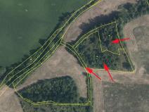 Prodej louky, Mašťov, 9839 m2