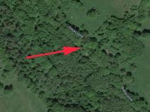 Prodej lesa, Trutnov, 4983 m2