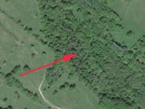 Prodej lesa, Trutnov, 21468 m2