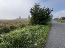 Dražba pole, Orlová, 140181 m2