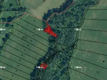 Prodej lesa, Kolinec, 5322 m2