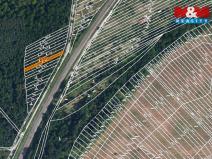 Prodej lesa, Břeclav, 261 m2