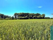 Prodej pozemku pro bydlení, Chropyně, 1061 m2