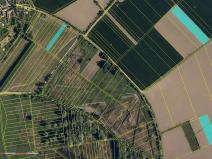 Prodej pole, Střížovice, 40874 m2