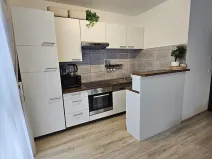 Pronájem bytu 3+kk, Břežany II, 75 m2