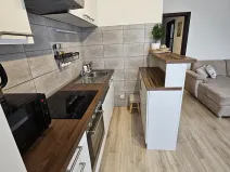 Pronájem bytu 3+kk, Břežany II, 75 m2