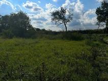 Prodej pozemku pro bydlení, Krušovice, 1250 m2