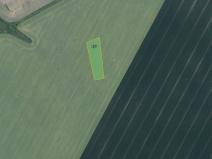 Prodej podílu pole, Děčany, 4184 m2