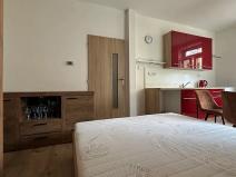 Pronájem bytu 1+kk, Luhačovice, 30 m2