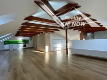 Pronájem bytu 3+kk, Kroměříž, 137 m2