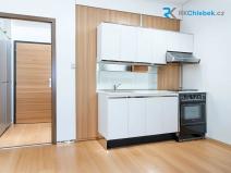 Prodej bytu 1+kk, Frýdek-Místek, Novodvorská, 32 m2