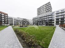 Pronájem bytu 1+kk, Praha - Žižkov, Tetauerova, 30 m2