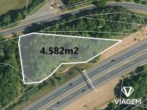 Prodej lesa, Nové Sedlo, 4582 m2