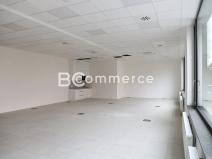 Pronájem kanceláře, Brno, 1733 m2